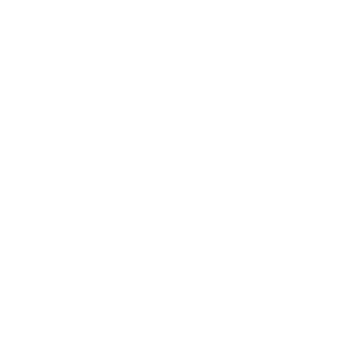 password-icon